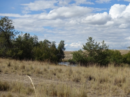 Some elk in the distance, unfortunately too far for a good picture. But they looked great through the binoculars.