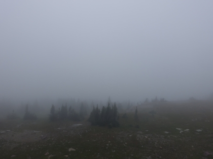 We made it to the amazing view of Hidden Lake and Bearhat Mountain. But where's the view??