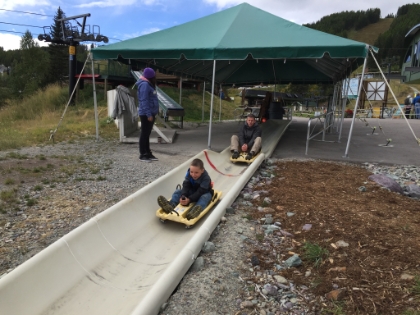 Before heading out, we just had to try the Alpine Slide!
