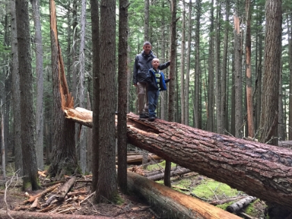 And some fun detours.