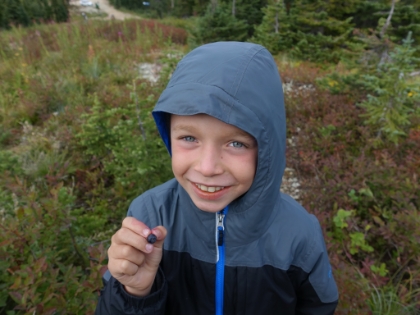 Next order of events was picking (and eating) wild huckleberries. Definitely a highlight of the trip!