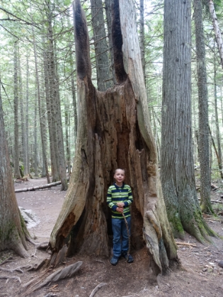 Kyle liked the interesting trees.