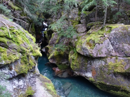 One more look at Avalanche Gorge as we head around the Trail of the Cedars Nature Trail loop.