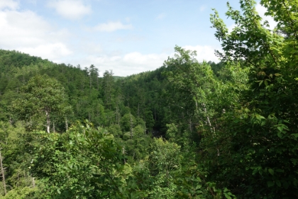 Green, green, green.