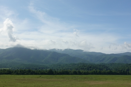 Endless open green meadows and rolling green hills. The 11 mile loop around Cades Cove is a lot like the Yosemite Valley loop, except with 10 times the traffic. It's a solid line of cars moving at 5 miles per hour. Frustrating but beautiful.