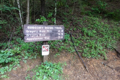 My next stop was the Gregory Ridge trail up to Gregory Bald.