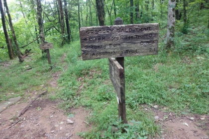 I love the old, weathered trail signs here.
