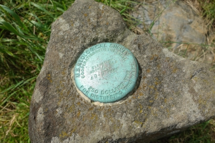 Made it to Gregory Bald at 4,949', one of the higher peaks in the Smokies.