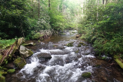 One last cascades view as I finish my first day in the Smokies.
