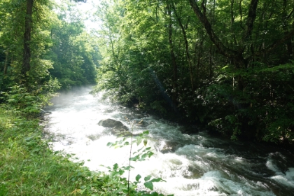 Morning fog hovering over one of the cascades alongside the road.