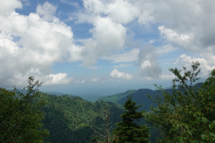 The dense forest is starting to open up for some great views.