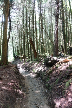 More great grooved single track.