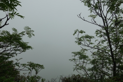 When I reached the Jump Off, this was unfortunately the amazing view.