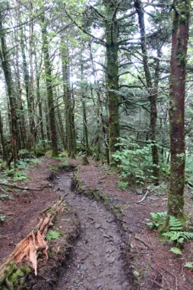 The trail was empty compared to the main Charlies Bunion route.