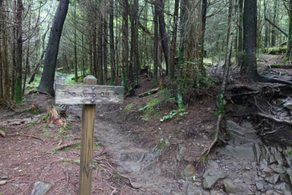 On the way back, I took the detour to the Jump Off, which was supposed to have an amazing view.