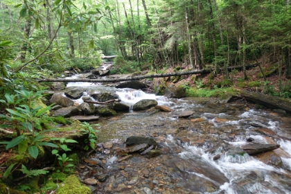 The perfect back yard.