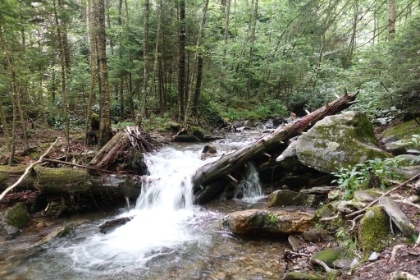 And one last cascade shot.