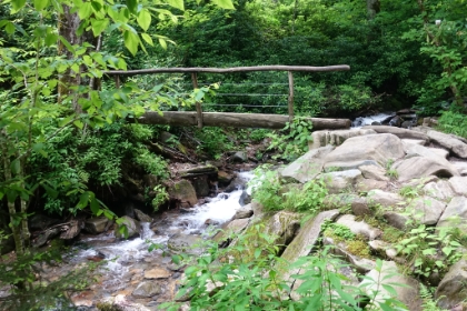 On to the next section of trail and more of the beautiful 1-rail footbridge creek crossings.