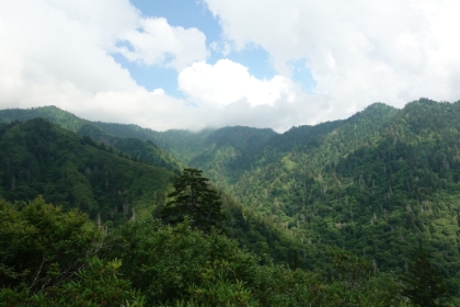 More green Smoky Mountain views.