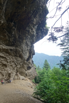 Made it to Alum Cave bluffs. It's not actually a cave, it's a concave bluff over 80ft high and 500ft wide. There's a steady sheet of water dripping off the lip even when it's not raining. Evidently in the winter, there are huge iceicles that fall off the lip.
