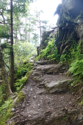 Alum Cave was supposed to be my turnaround point. But I had some time left, so why not go just a "little" bit further? Most of the crowds stopped at the cave, and the trail immediately got more rugged.