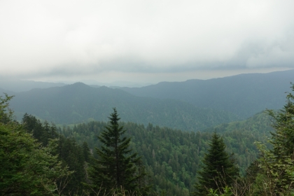 Deep rumbling thunder started, and I hoped it wasn't going to start pouring rain. I was only a couple miles from the summit though, so might as well keep going.