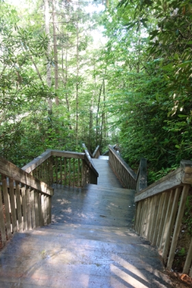 Further along the trail and down the walkway to Triple Falls.