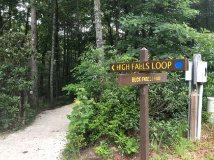I would be staying the night near Congaree National Park about 5 hours away, so I wanted to break-up the long drive with at least one hike. I didn't know the area at all, but after a little research, I decided on Dupont State Forest. It's in Translyvania County, North Carolina. It was a bit out of the way, and it was raining really hard on the way there, so I was hoping it would be worth it! I decided to do the 5 mile High Falls Loop.