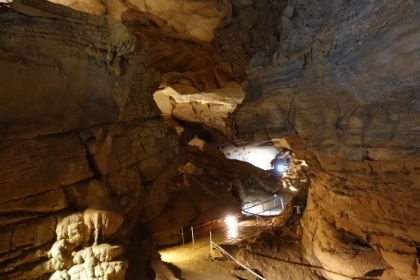 Tuckaleechee is a huge cavern system. The tour lasts 1 hour 20 minutes and explores less than 1% of the cavern!