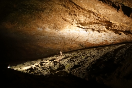 There are actually small plants growing in the cave. The spores are brought in on visitor's clothes, and then the plants grow where there's lights. Hopefully Tuckaleechee switches to LED lights like other caverns, which would prevent the unnatural plant growth.