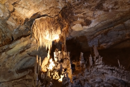 The "palette" formation. It's partially detached from the ceiling.