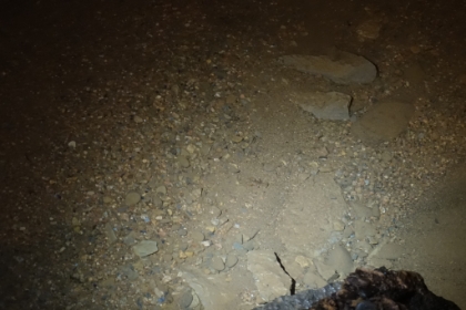 If you look closely towards the center of the picture, you can see a small, lobster looking creature in the water. They are actually a native species living down here.