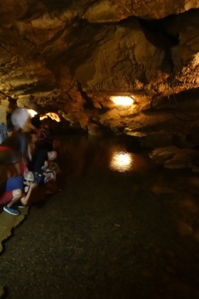 Visitors can stop and drink from the springs or even fill their water bottles. It's evidently ultra pure water.