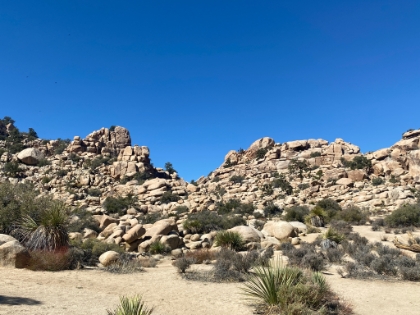 We started out the day with a short loop around the Hidden Valley trail. Every rock pile was just begging to be scrambled up.