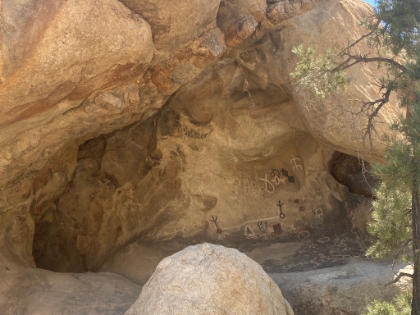 The Native American petroglyphs along the Barker Dam trail. Unfortunately some of them have been ruined by people trying to paint over them.