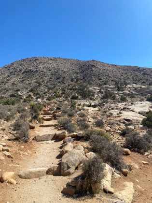 After doing a few mile loop around the Skull Rock and Jumbo Rocks area, we headed over to Ryan Mtn for one more hike.