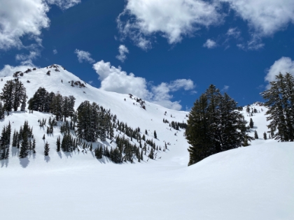 At last we finally reach  Ridge Lakes and... they're not there! Completely frozen over with a thick layer of snow on top. Not quite the view we were anticipating, but beautiful nonetheless.