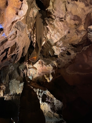 One of the most impressive pieces of cave bacon that I have seen!