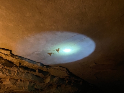Some Helictites. Due to their mineral composition, water does not drip off of these like a normal stalactite, so they will never form a matching stalagmite.
