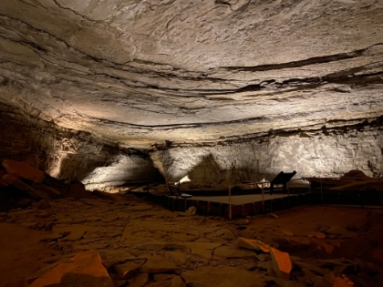 Upon entering the cave, you quickly get an idea of just how large it is. This first room, known as the Rotunda, is huge, and it's not even close to being the largest. The largest room in Mammoth is over 2 acres!