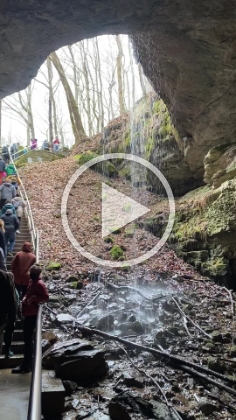 Video of the waterfall, and end to the first tour of the day.