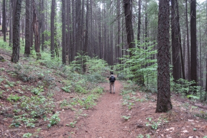 Headed down the Kettlebelly Trail around the other side of the loop. End to a great day in the Mt. Shasta area.