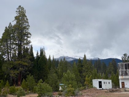 We were determined to catch a glimpse of the Mt. Shasta peak, but cloudy weather made it difficult. This was about the best we could do.