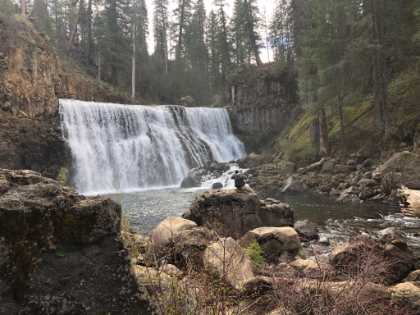 Dad's photo of me scrambling out for a closer view.