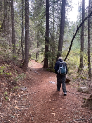 Beautiful single track along the McCloud River.