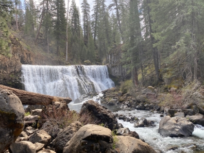 Middle McCloud Falls. Unquestionably one of the more picturesque falls I've encountered. Though not huge, it is absolutely postcard perfect.
