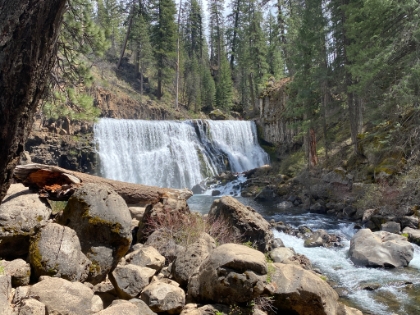 One last view of Middle Falls. I could sit here all day.