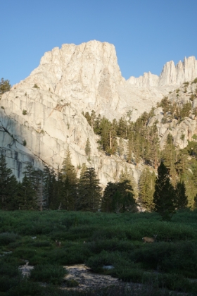 Thor Peak above the meadow and deer.