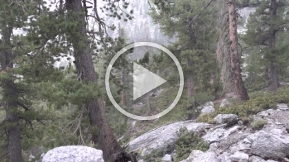 Since I had a late start today, the afternoon thunderstorm hit while I was still at lower elevation. I got hammered with hail for a while, but it was a whole lot better at 10,000' than at 14,000' and without the lightning exposure. I had a light rain and distant thunder for the rest of the way, but that was about it.