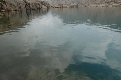 Playing with the polarizing filter on my camera. With the polarizer off, you can't see below the surface because of the reflections.